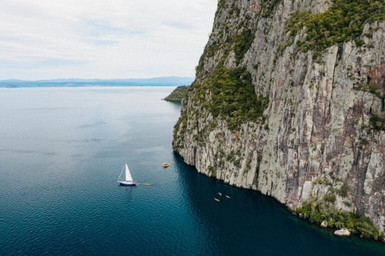 Tour Guides, new zealand tours